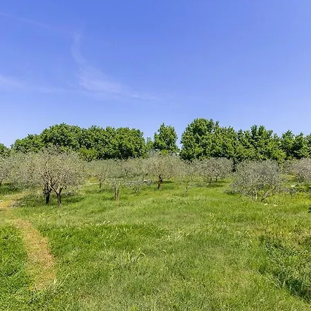 Apartamento Dragica